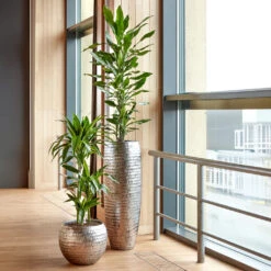 Opus Hammered Globe Planter - Silver 20 Opus Hammered Globe Planter - Silver -HousePlants Shop Opus Hammered Globe Silver Opus Hammered Partner Silver