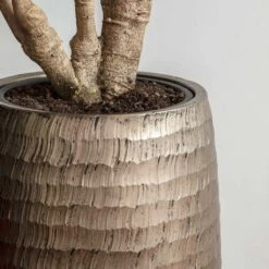 Opus Hammered Partner Planter - Gold -HousePlants Shop Opus Hammered Partner Planter Gold 1