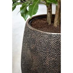 Opus Hit Darcy Planter - Gold -HousePlants Shop Opus Hit Darcy Planter Gold Close Up