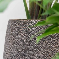 Opus Hit Darcy Planter - Gold -HousePlants Shop Opus Hit Darcy Planter Gold Textures