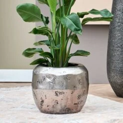 Opus Raw Couple Planter - Silver -HousePlants Shop Opus Raw Couple Planter Silver