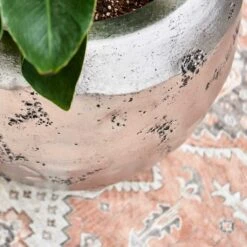 Opus Raw Couple Planter - Silver -HousePlants Shop Opus Raw Hit Silver 2