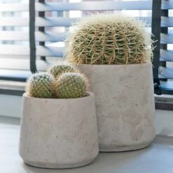 Patt Plant Pot - Grey Washed -HousePlants Shop Patt Plant Pot Grey Washed Cacti