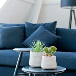 Patt Plant Pot - Grey Washed -HousePlants Shop Patt Plant Pot Grey Washed Houseplants