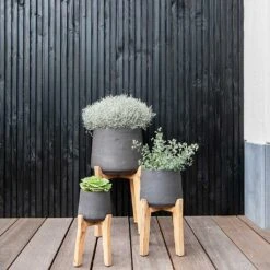Patt Plant Pot - Tall Stand - Black Washed -HousePlants Shop Patt Plant Pot Tall Stand Black Washed Lifestyle 01