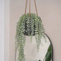 Patt Hanging Plant Pot - Black Washed 29 Patt Hanging Plant Pot - Black Washed -HousePlants Shop PattHangingPlantPot BlackWashed 3