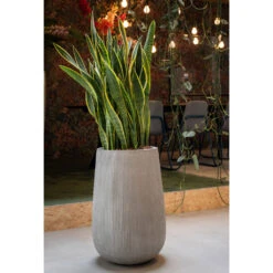 Patt High Plant Vase - Ridged Cement -HousePlants Shop PattHighPlantVase RidgedCement 5