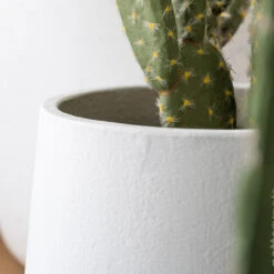 Patt Plant Pot - White Washed -HousePlants Shop PattPlantPot WhiteWashed 2