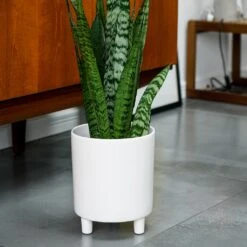 Pisa Plant Pot - White -HousePlants Shop Pisa Plant Pot White 20 x 24cm
