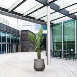 Polystone Coated Darcy Planter - Raw Grey -HousePlants Shop Polystone Coated Darcy Planter Raw Grey LS1