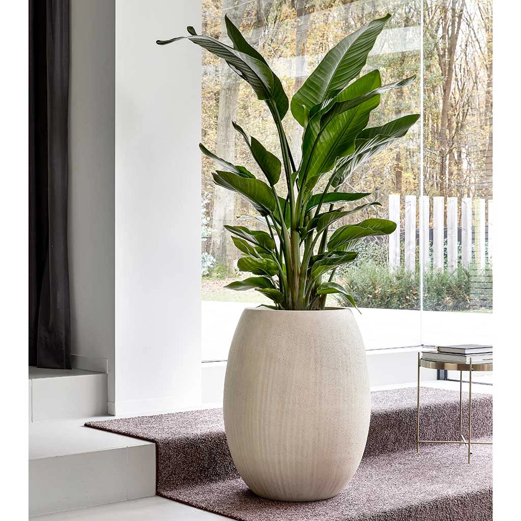 Polystone Coated Plain Balloon Planter - Natural 4 Polystone Coated Plain Balloon Planter - Natural - Image 2