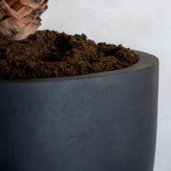 Jesslyn Natural Planter - Black -HousePlants Shop ProductsJesslynNaturalPlanter Black 2