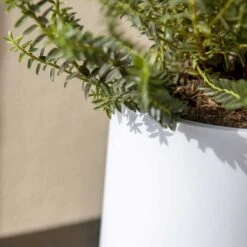 Puk Essentials Planter - Matt White -HousePlants Shop Puk Planter Matt White Close Up