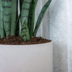 Puk Refined Planter - Natural White -HousePlants Shop Puk Refined Planter Natural White Lifestyle 003