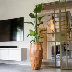 Quinn Tall Planter - Natural -HousePlants Shop Quinn Natural Tall 1