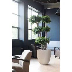 Raindrop Egg Planter - Stone -HousePlants Shop Raindrop Egg Planter Stone Indoor Plants