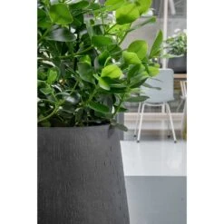 Raindrop Tube Round Planter - Anthracite -HousePlants Shop Raindrop Planters Anthracite Texture