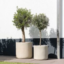 Raindrop Round Planter - Stone -HousePlants Shop Raindrop Round Planter Stone Outdoor Trees