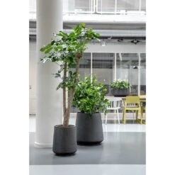 Raindrop Tube High Round Planter - Anthracite -HousePlants Shop Raindrop Tube High Round Planters Anthracite