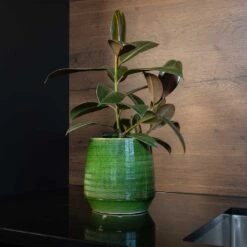 Remi Plant Pot - Green -HousePlants Shop Remi green 02