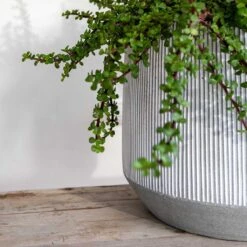 Harith Plant Pot - Ridged White Stripe -HousePlants Shop Ridged Harith Plant Pot White Stripe Close Up