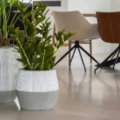Harley Plant Pot - Ridged White Stripe -HousePlants Shop Ridged Harley Plant Pot White Stripe Lifestyle 2