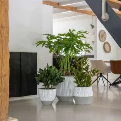 Harley Plant Pot - Ridged White Stripe -HousePlants Shop Ridged White Stripe Planters