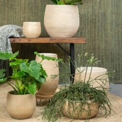Ryan Plant Pot - Sand Gold -HousePlants Shop Ryan Plant Pot Sand Gold