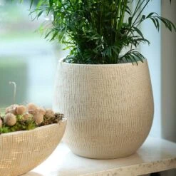 Ryan Plant Pot - Sand Gold -HousePlants Shop Ryan Plant Pot Sand Gold Parlour Palm