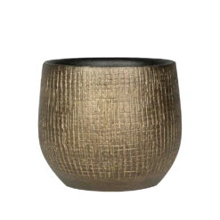 Ryan Plant Pot - Shiny Gold -HousePlants Shop Ryan Plant Pot Shiny Gold 15cm