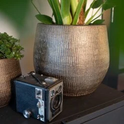 Ryan Plant Pot - Shiny Gold -HousePlants Shop Ryan Plant Pot Shiny Gold Lifestyle 02