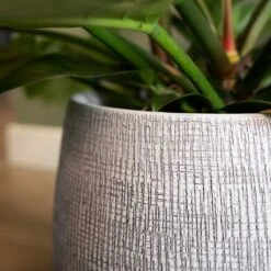 Ryan Plant Pot - White Black 22 Ryan Plant Pot - White Black -HousePlants Shop Ryan Plant Pot White Black Close Up
