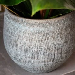 Ryan Plant Pot - Blue Gold -HousePlants Shop RyanPlantPot BlueGold 1 min