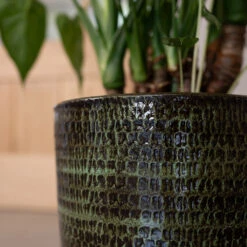 Sanna Plant Pot - Moss Green 22 Sanna Plant Pot - Moss Green -HousePlants Shop Sanna Moss Green 2