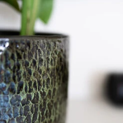 Sanna Plant Pot - Moss Green 32 Sanna Plant Pot - Moss Green -HousePlants Shop Sanna Moss Green 5