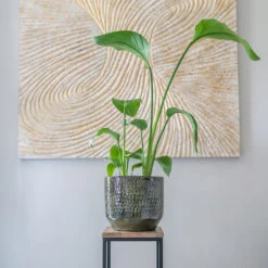 Sanna Plant Pot - Moss Green 28 Sanna Plant Pot - Moss Green -HousePlants Shop Sanna Moss Green 7