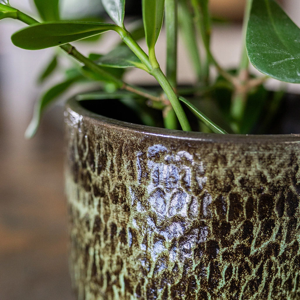 Sanna Plant Pot - Moss Green 10 Sanna Plant Pot - Moss Green - Image 8