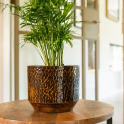 Sanna Plant Pot - Savanna -HousePlants Shop Sanna Savana 4