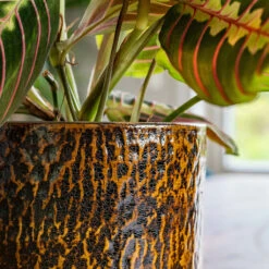 Sanna Plant Pot - Savanna -HousePlants Shop Sanna Savana 6