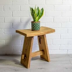 Sansevieria Trifasciata Futura Superba -HousePlants Shop Sansevieria trifasciata Futura Superba liam turquoise plant pot natural