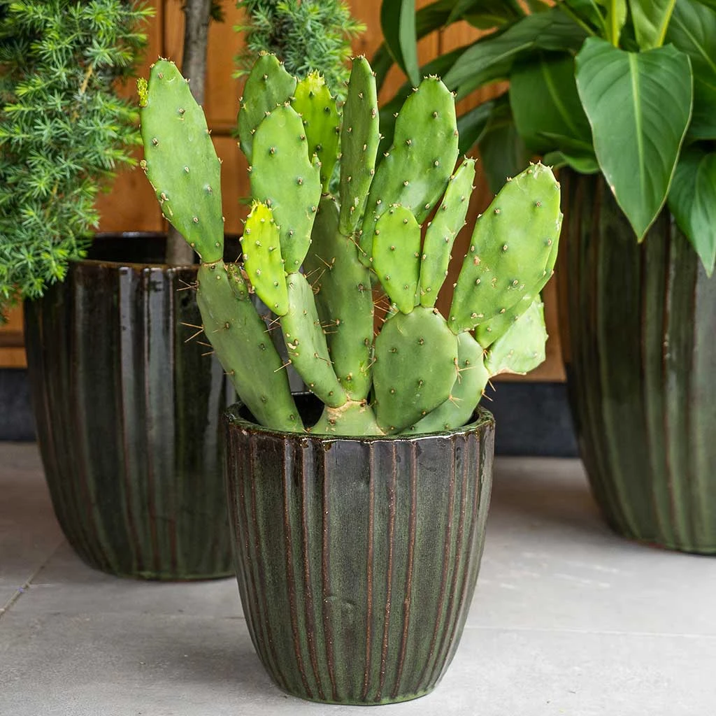 Scott Planters - Set Of 3 - Green 8 Scott Planters - Set Of 3 - Green - Image 6