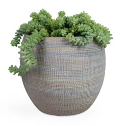 Dex Plant Pot - Earth -HousePlants Shop Sedum Burrito Donkey Tail 14x20cm Dex Plant Pot Earth 22x20cm