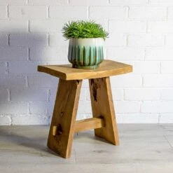 Senecio Himalaya - Himalaya Groundsel -HousePlants Shop Senecio Himalaya Himalaya Groundsel alice ocean plant pot natural a0e2c2c9 2ffa 4495 a6e2 0a94fbfddd15