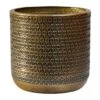 Solis Embossed Plant Pot - Gold 1 Solis Embossed Plant Pot - Gold -HousePlants Shop Solis Embossed Plant Pot Gold 18x18cm
