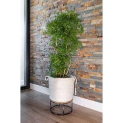 Stefan Plant Baskets - Set Of 3 - Natural -HousePlants Shop Stefan Plant Basket Natural Indoor Tree