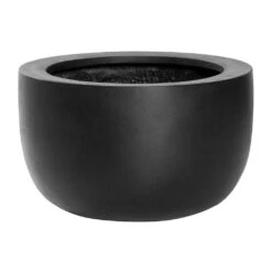 Sunny Natural Bowl Planter - Black -HousePlants Shop Sunny Natural Planter Black 33x20cm