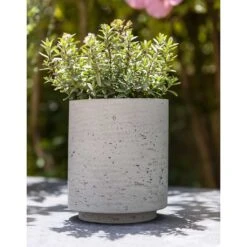 Suzi Plant Pot - Grey Washed -HousePlants Shop Suzi Plant Pot Grey Washed Outdoor Plant