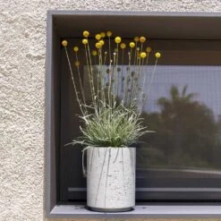 Suzi Plant Pot - Grey Washed -HousePlants Shop Suzi Plant Pot Grey Washed Outdoor Plants