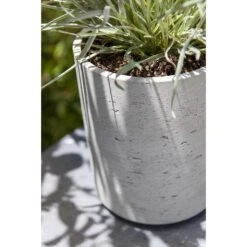 Suzi Plant Pot - Grey Washed -HousePlants Shop Suzi Plant Pots Grey Washed Close Up