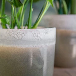 Tarra Plant Pot - Forest -HousePlants Shop Tarra3